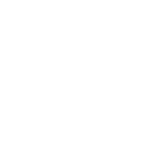 icon2